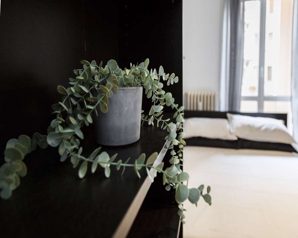 Stanza in Via Giuditta Sidoli