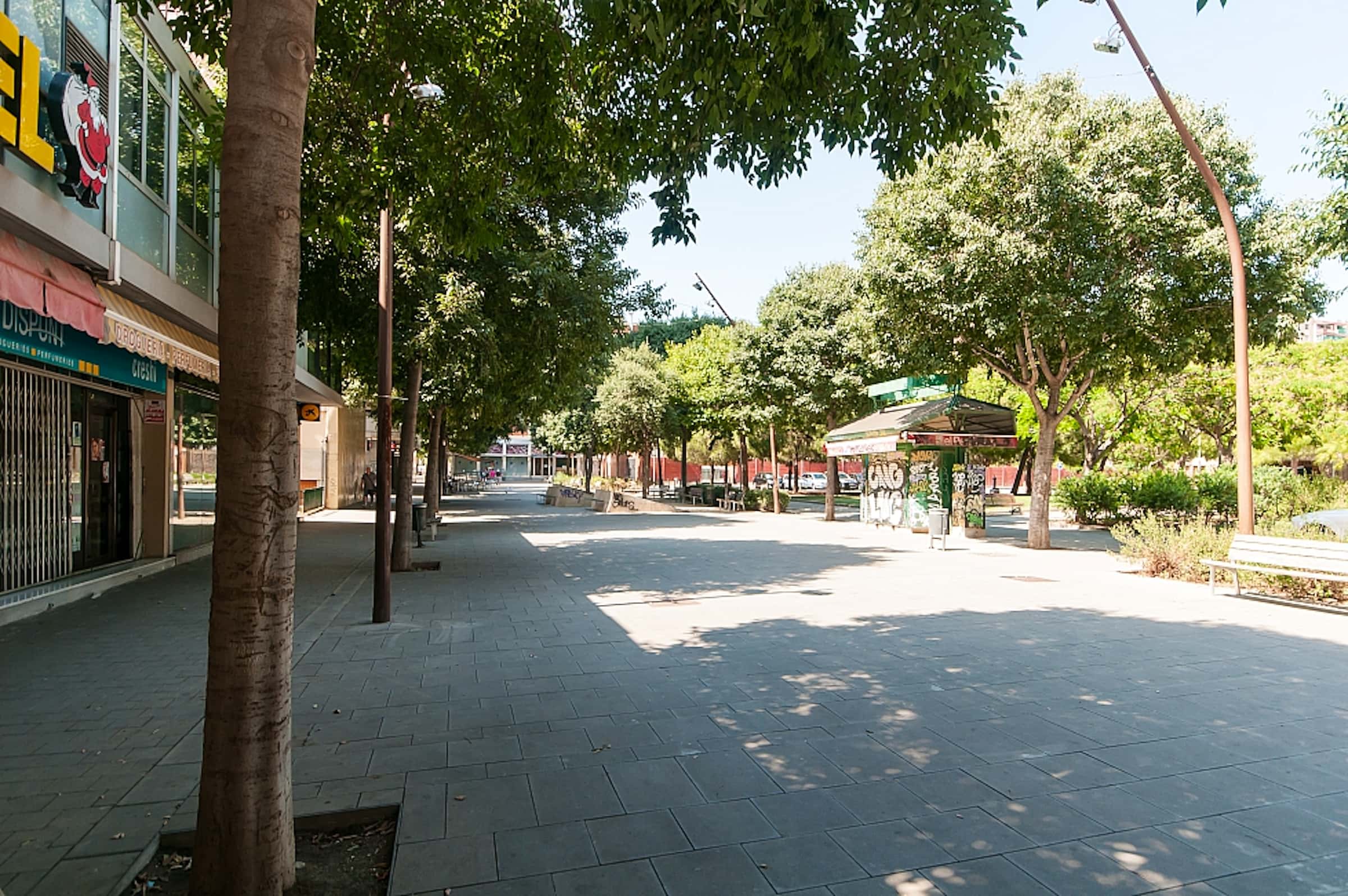 Avinguda de la Mare de Déu de Bellvitge