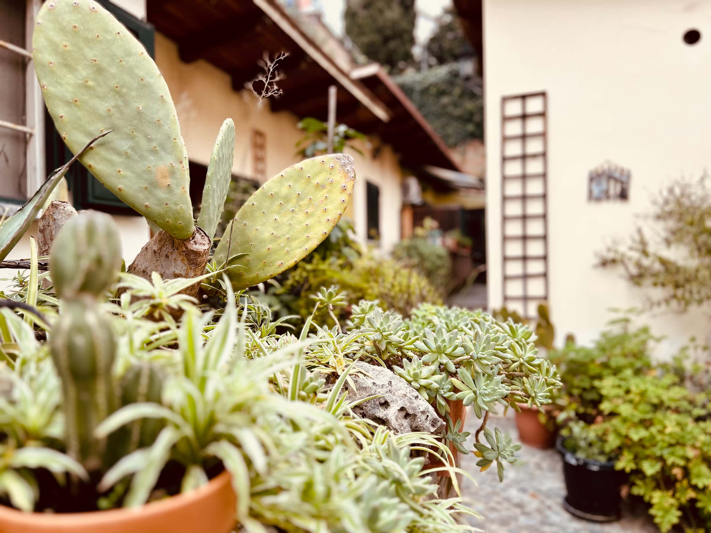 Apartamento Roma, 1 habitación — foto 5