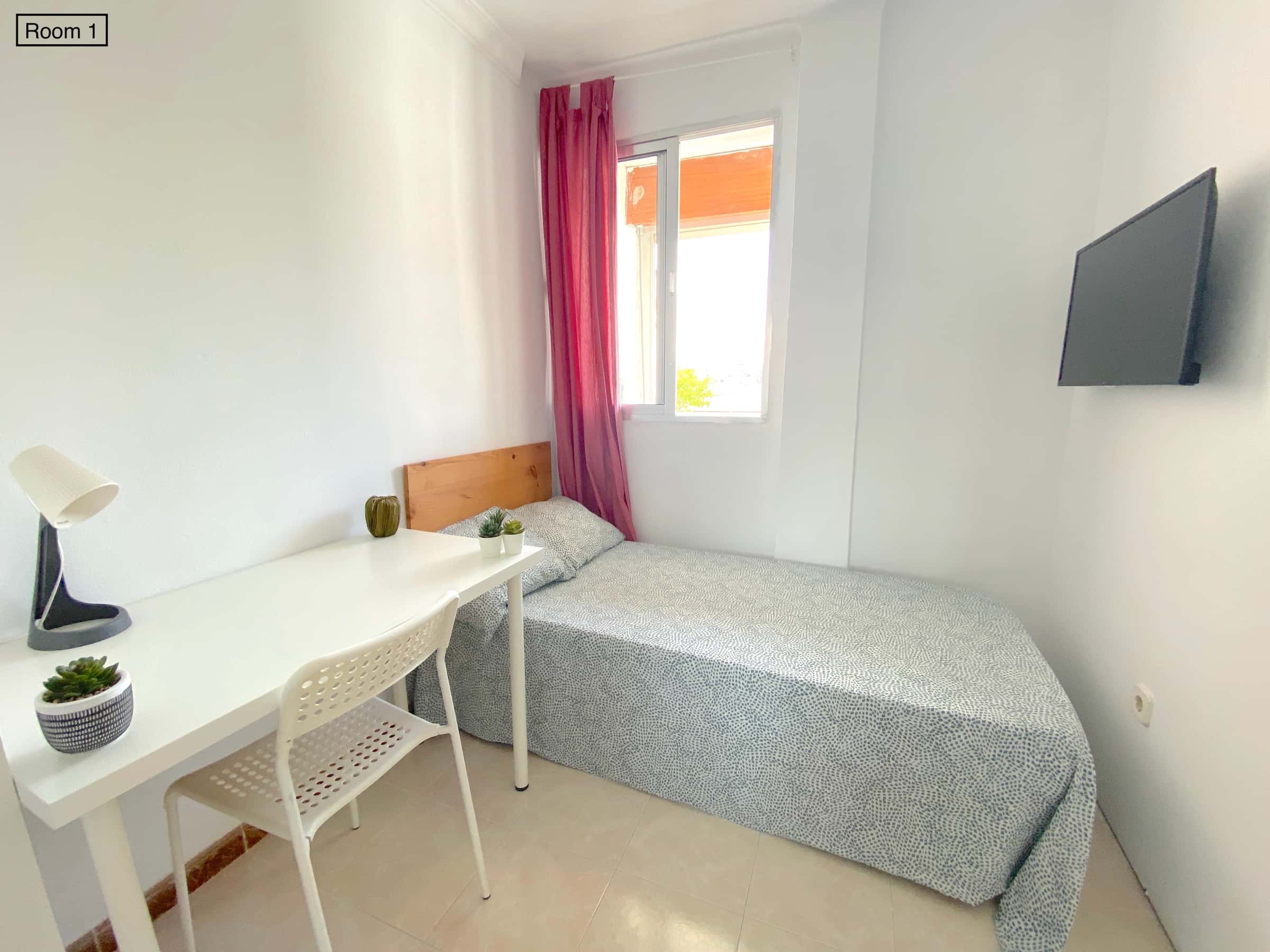 Sunny room near center with WIFI and TV for students