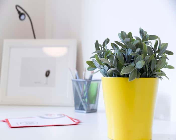 Listing photo thumbnail