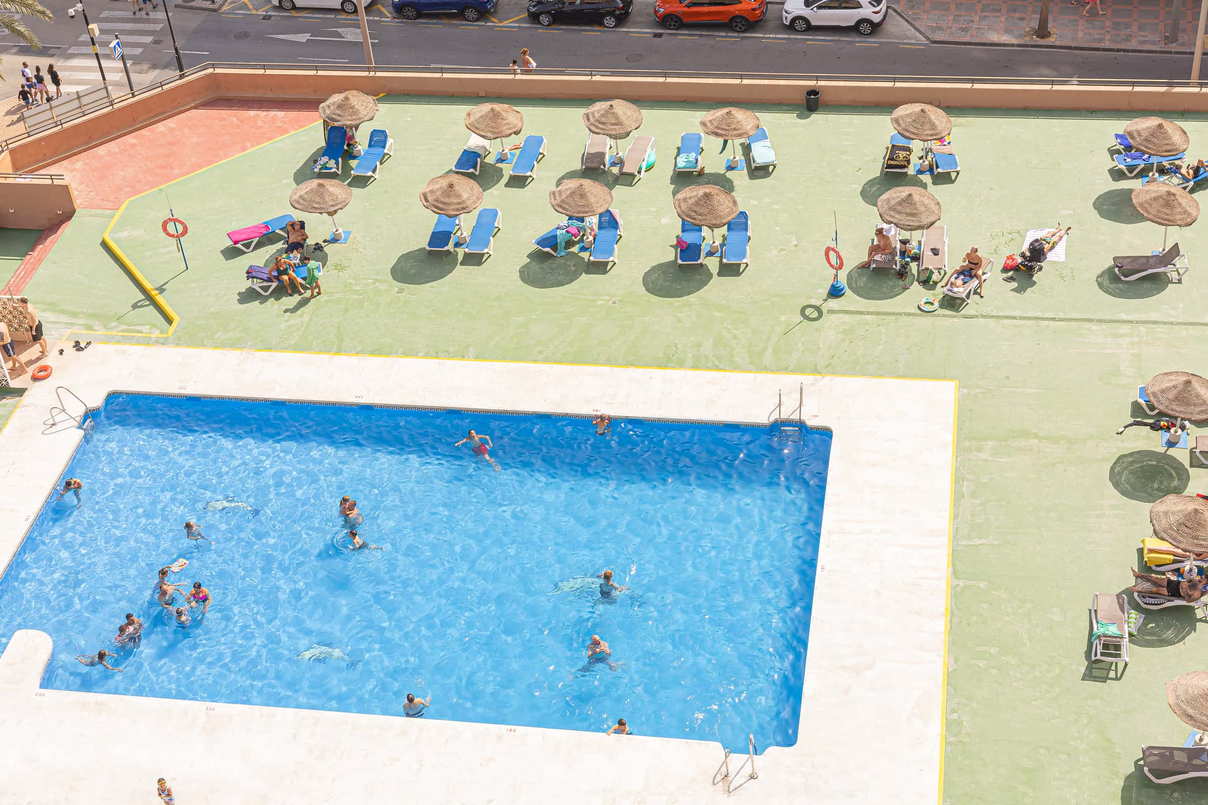 La Joyita De Las Palmeras