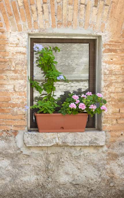 Apartment Carpineto Romano, 2 beds — photo 5