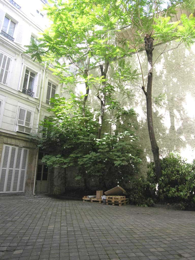 Apartment 1 bedroom 50m²