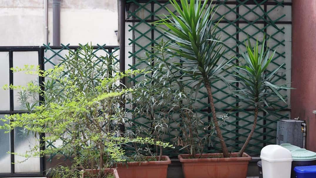 Apartment Verona, 1 bed — photo 13