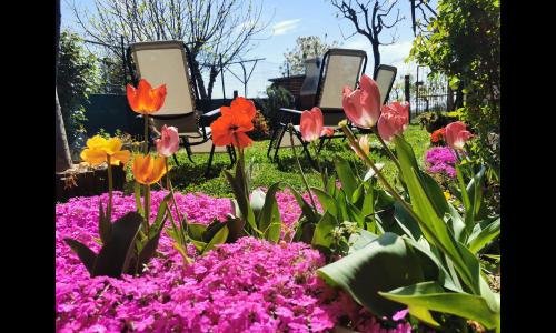 Listing photo thumbnail