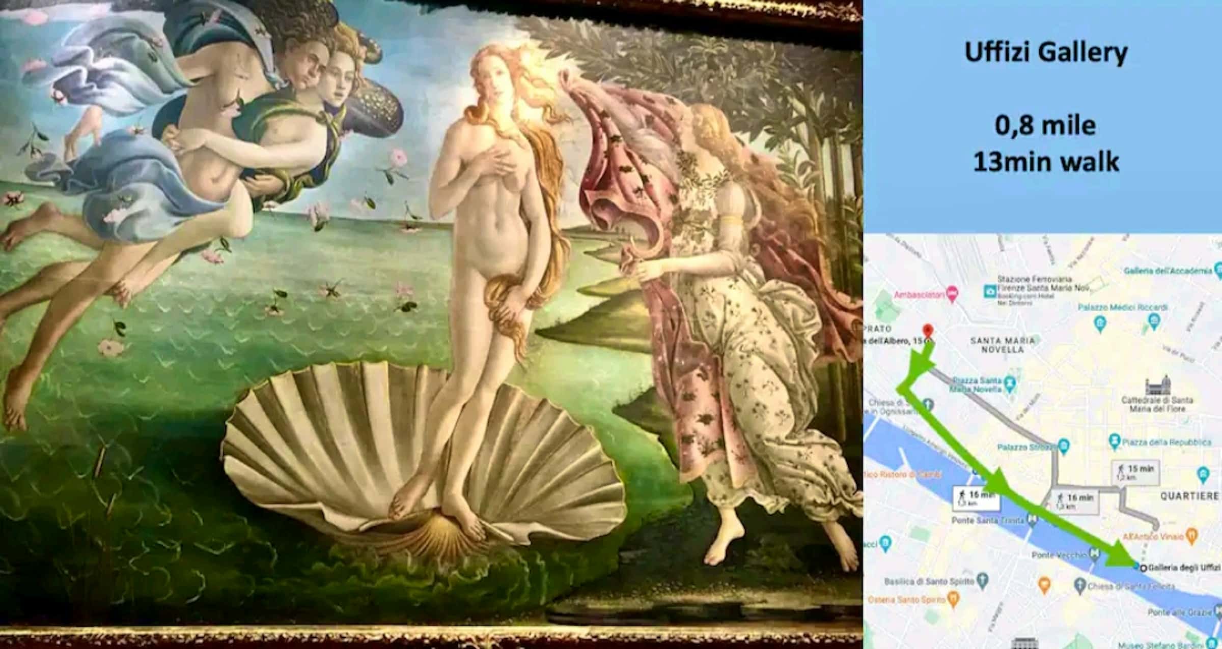 Via dell'Albero