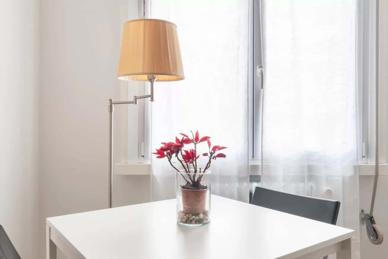 Apartment Milan, 1 bed — photo 14