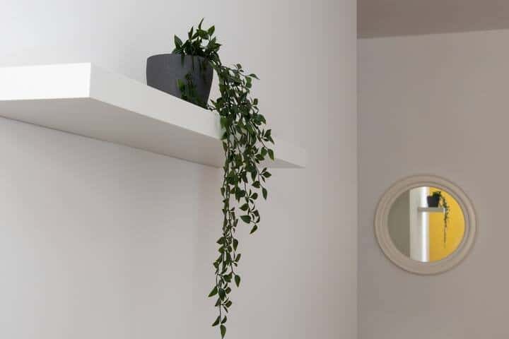 Apartment Trieste, 1 bed — photo 2