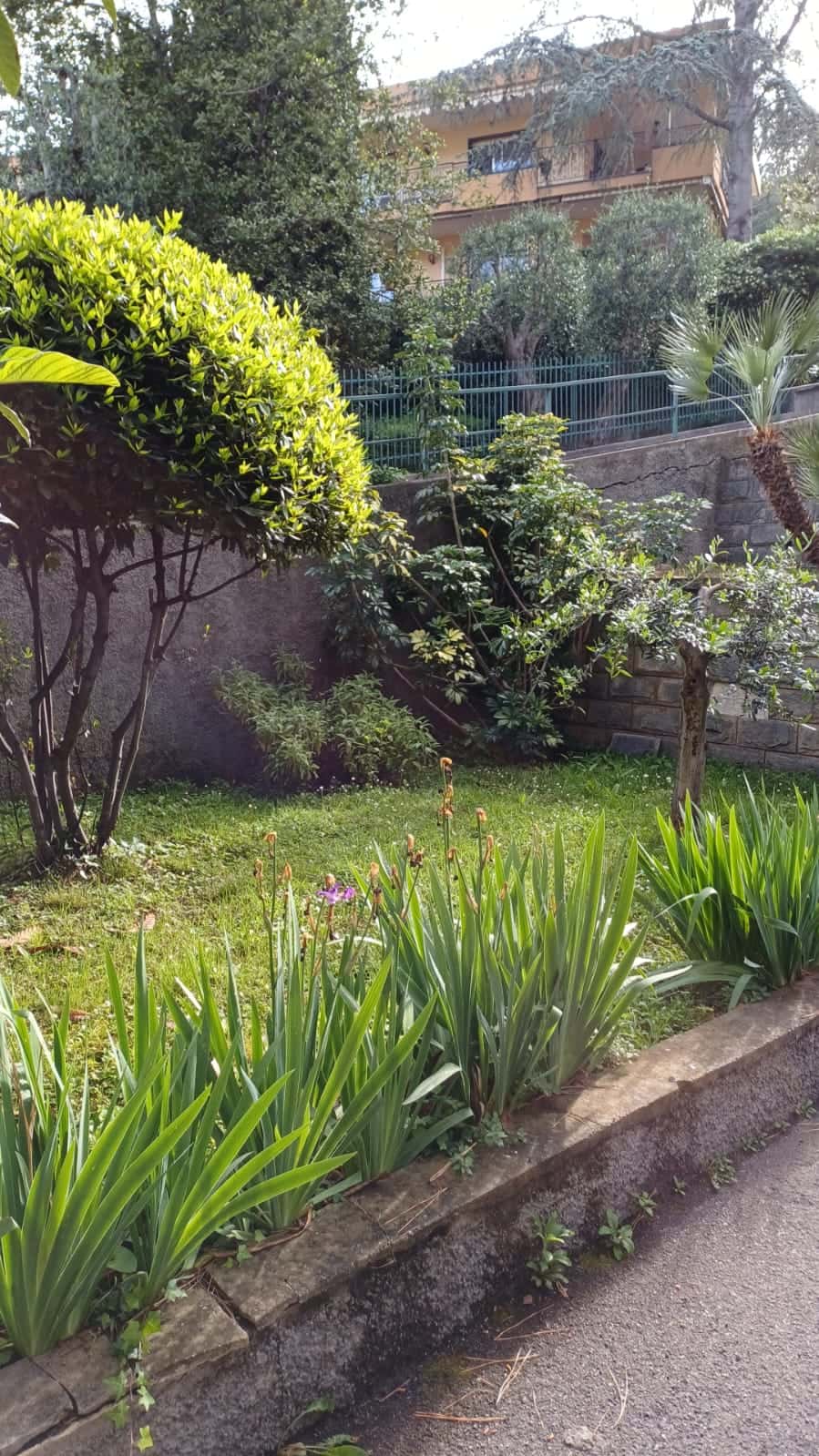 Apartment Bordighera, 1 bed — photo 23