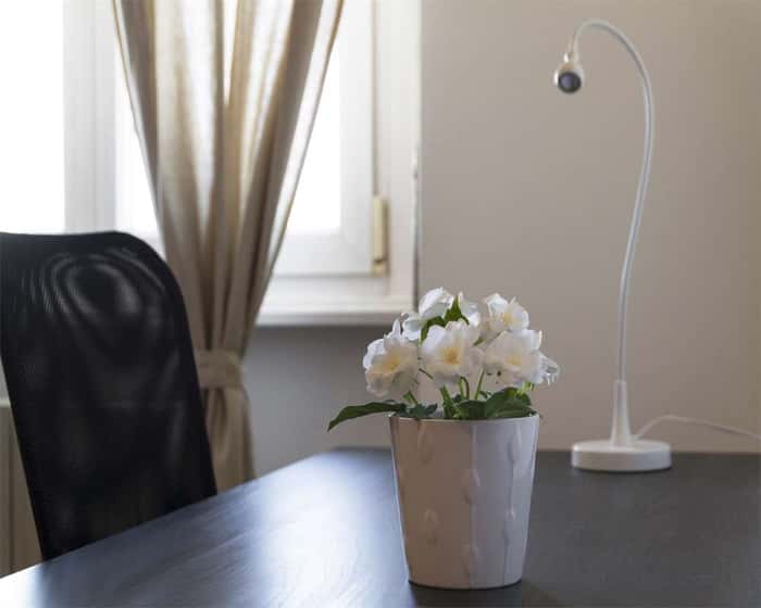 Listing photo thumbnail