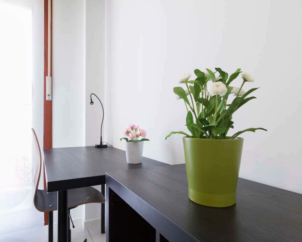 Special Offer: Stanza in Largo Cavalieri di Malta