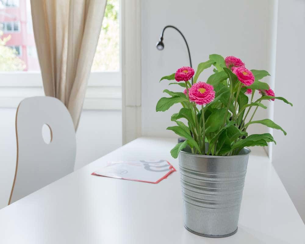 Stanza in Via Raffaello Bertieri