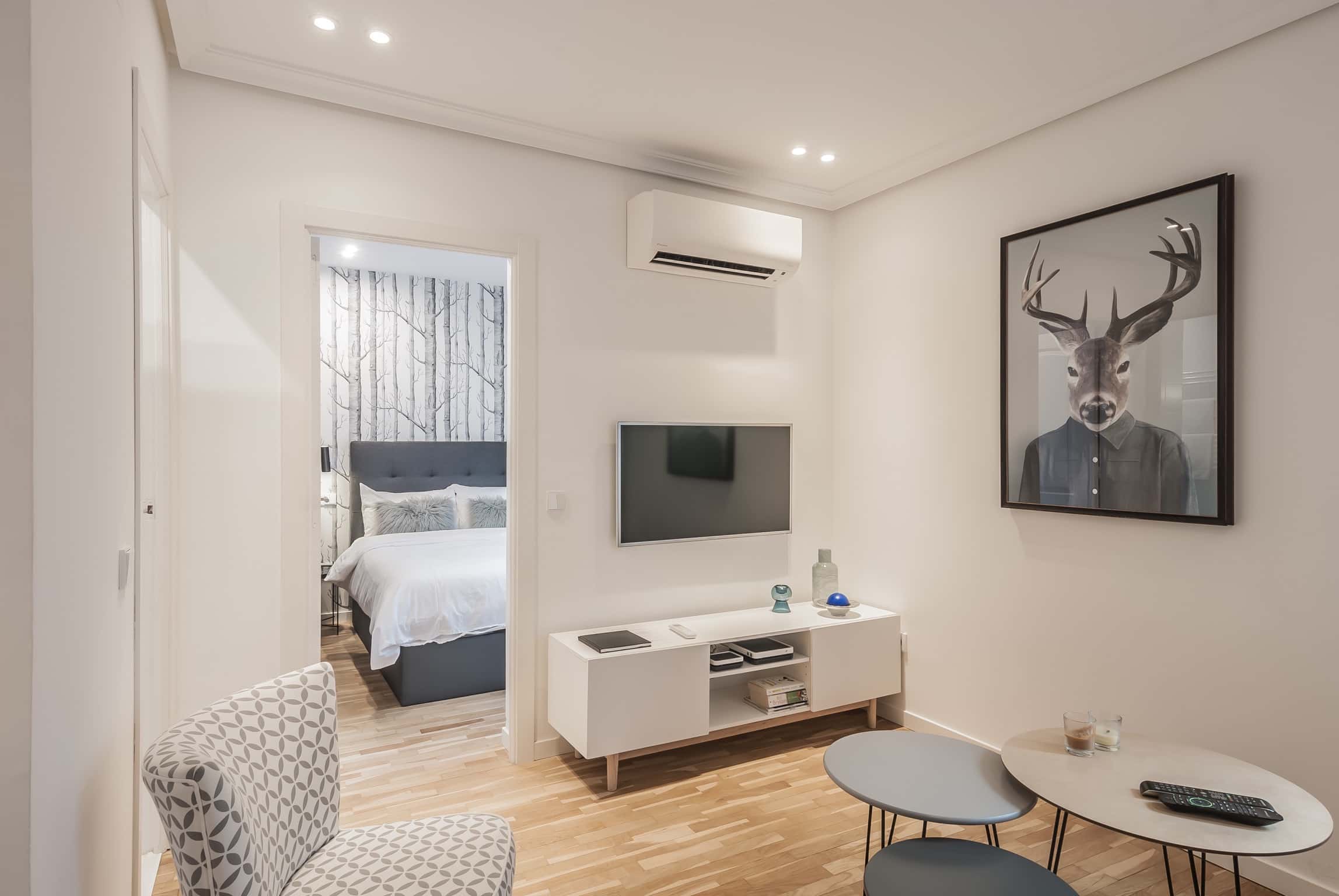Luminoso y cómodo apartamento en Madrid Centro