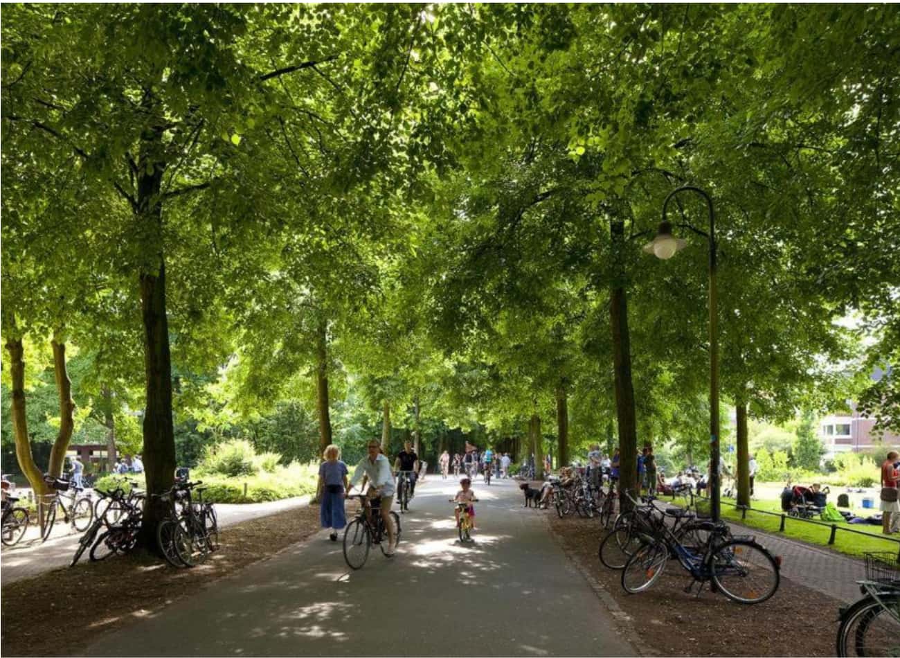 Ruhiges und modernes Zuhause in Top-Lage Münster **** - Photo 4