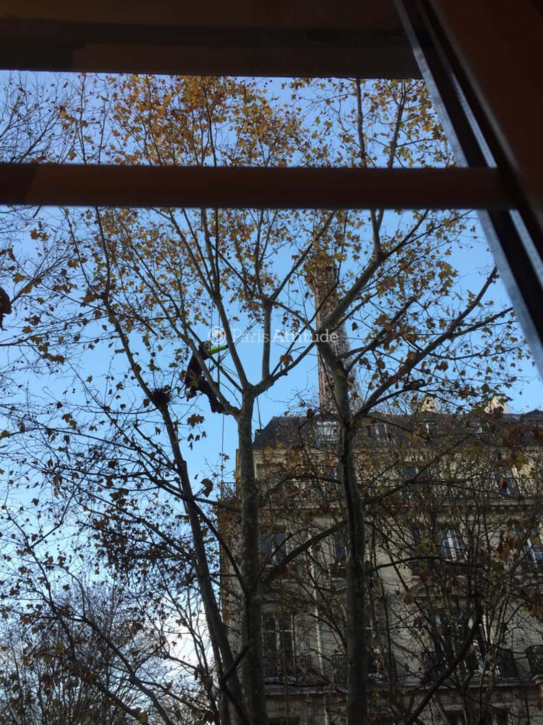 Apartment 1 bedroom 46m²