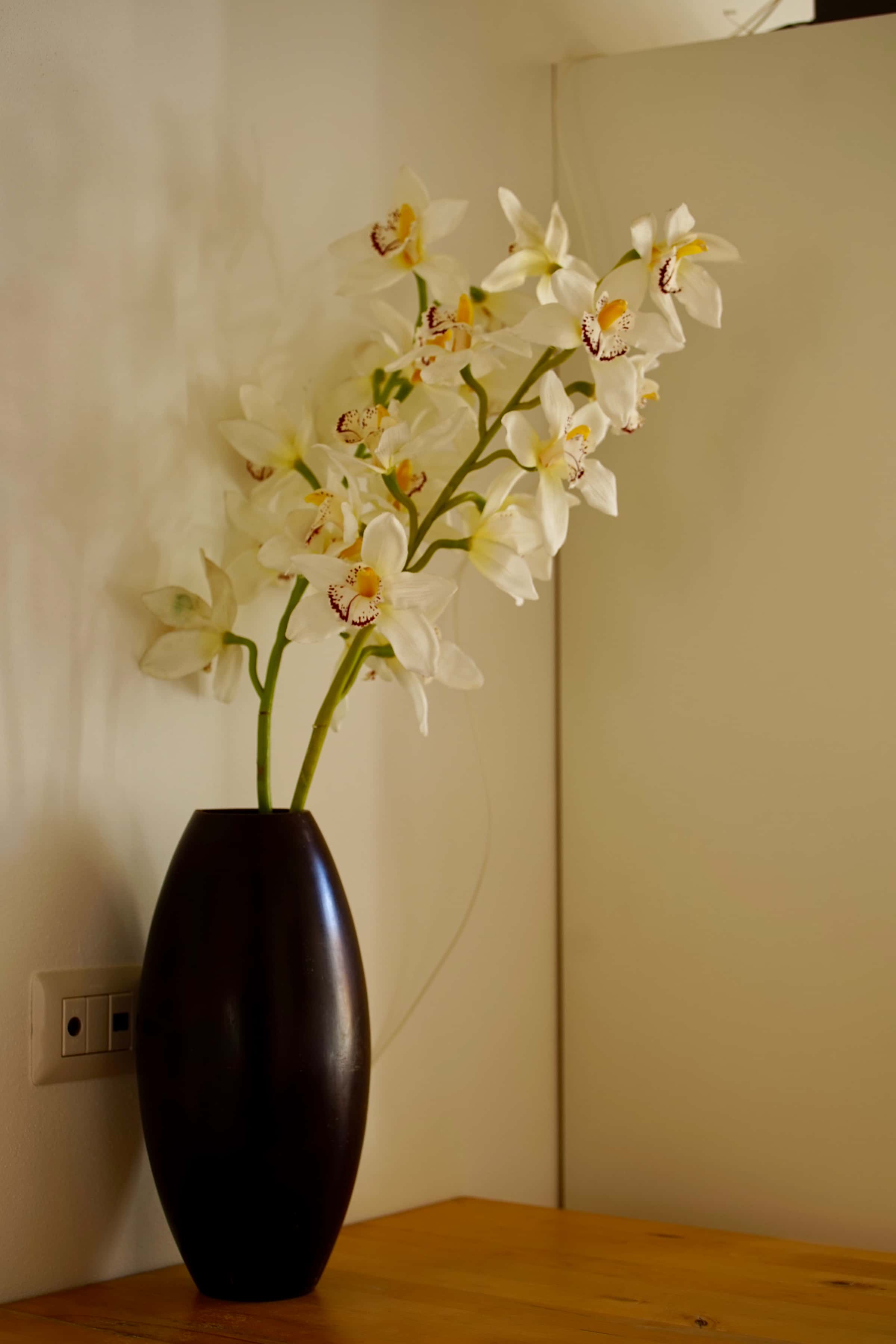 Apartment Rome, 2 beds — photo 12