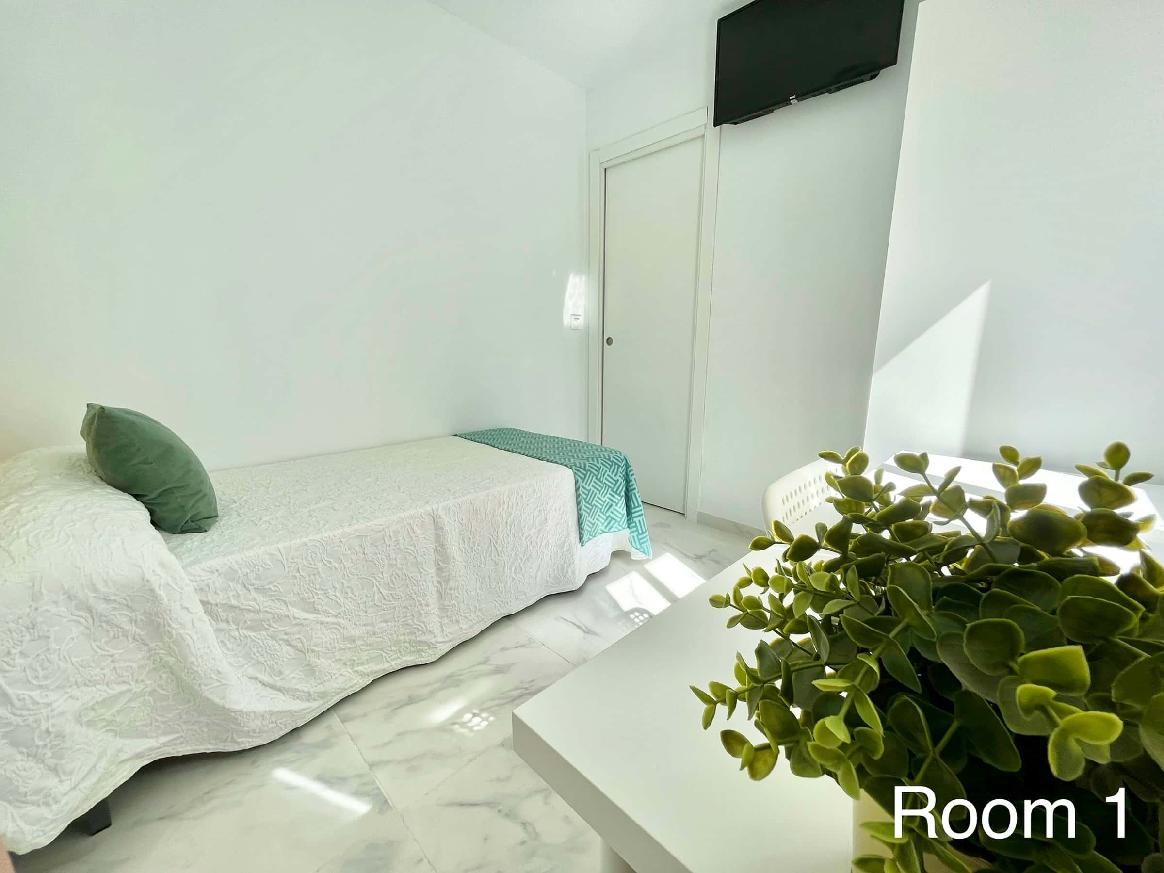 Avenida Sánchez Pizjuan - H1