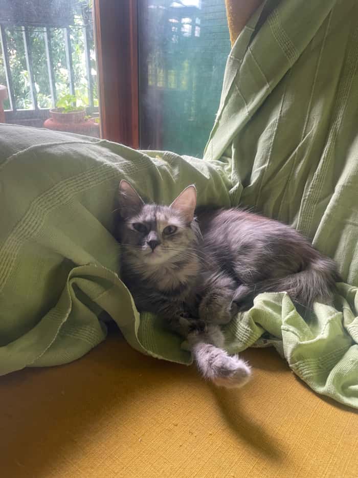 Listing photo thumbnail