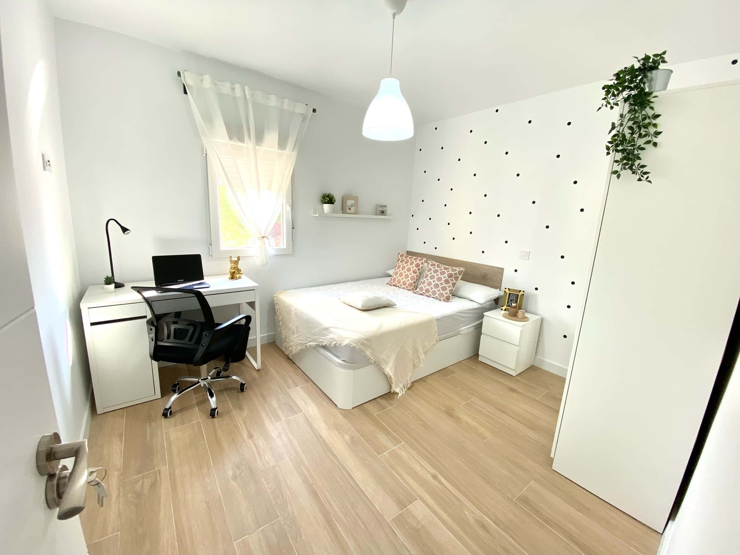 Gladiolo 1 - 3º A 4