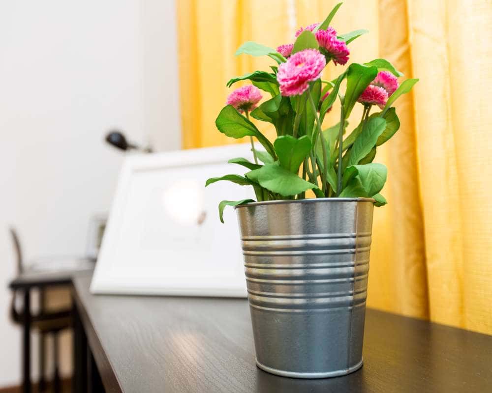 Stanza in Via Carlo Bertolazzi