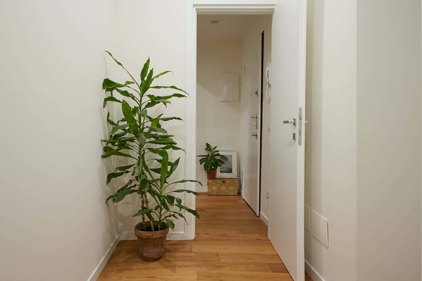 Apartment Settimo Torinese, 1 bed — photo 3