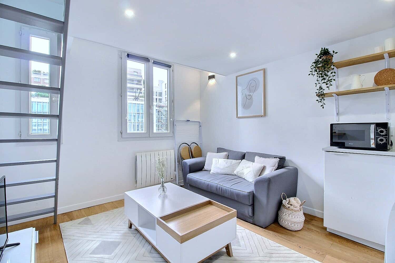 Apartment 1 bedroom 20m²