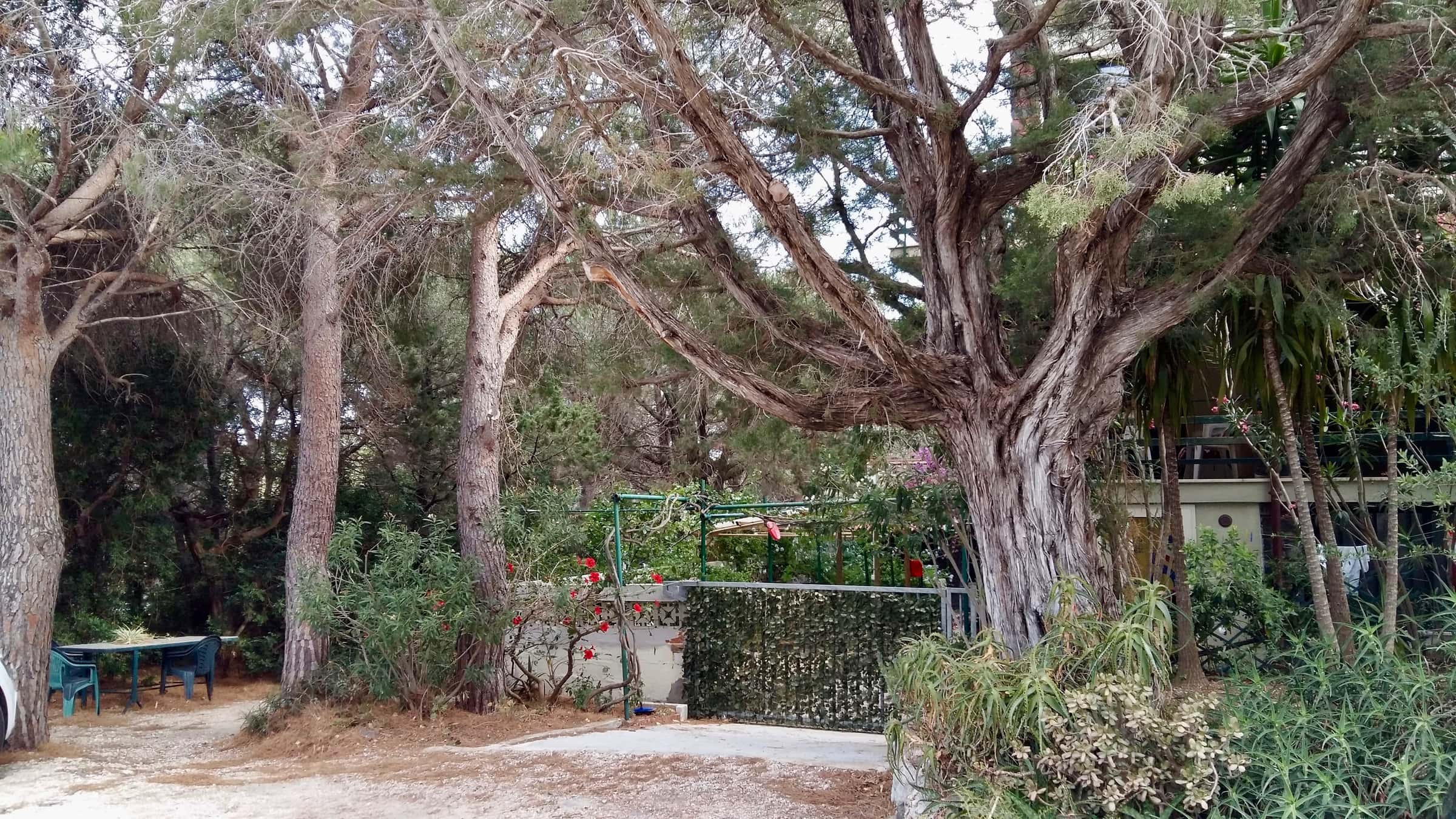 Apartment Cala Gonone, 3 beds — photo 4