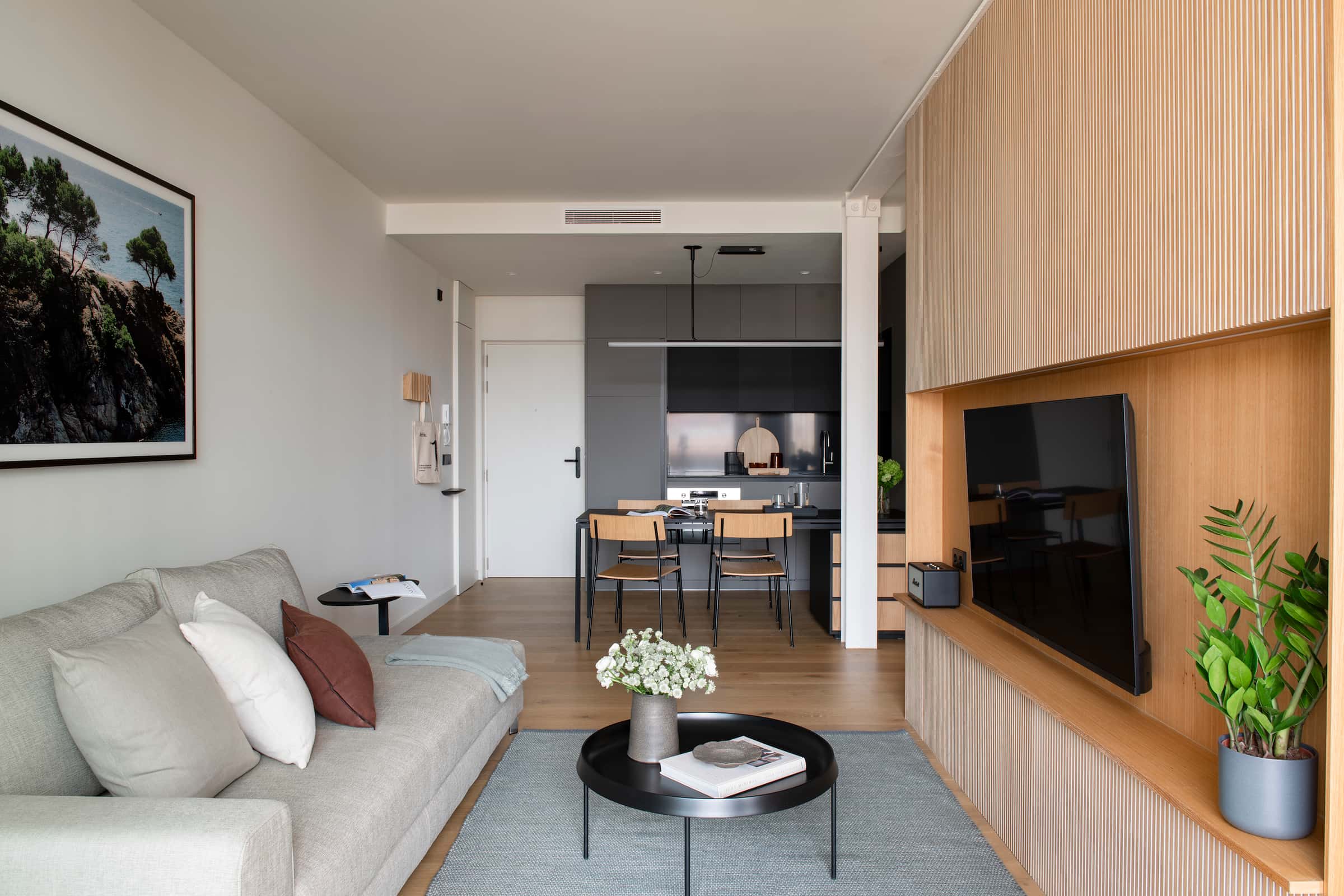 APARTAMENTO DE UNA HABITACION 2