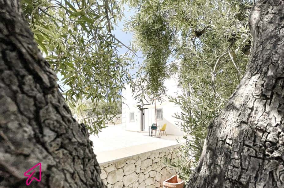 Apartment Monte Sant'angelo, 2 beds — photo 8
