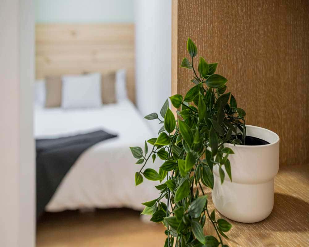 Habitación individual en la San Lorenzo