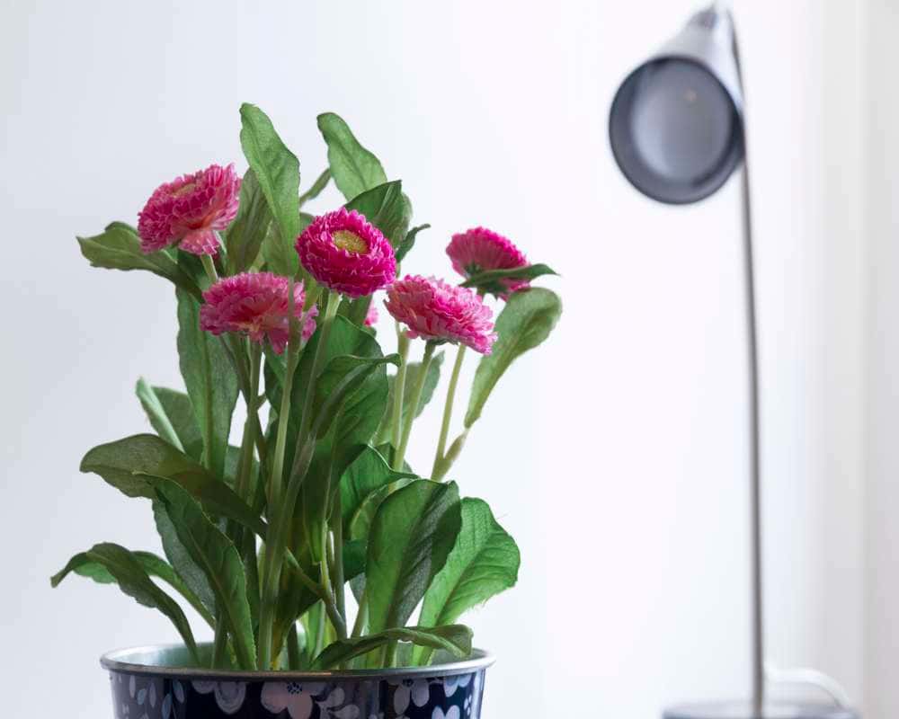 Stanza in Via Porro Lambertenghi