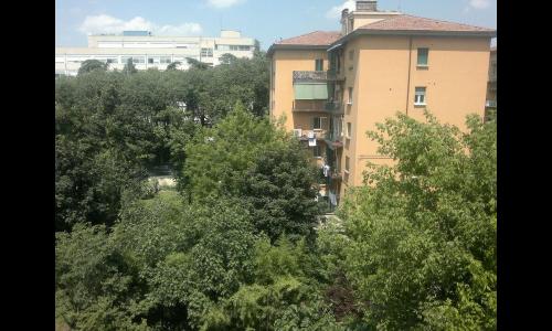 Listing photo thumbnail