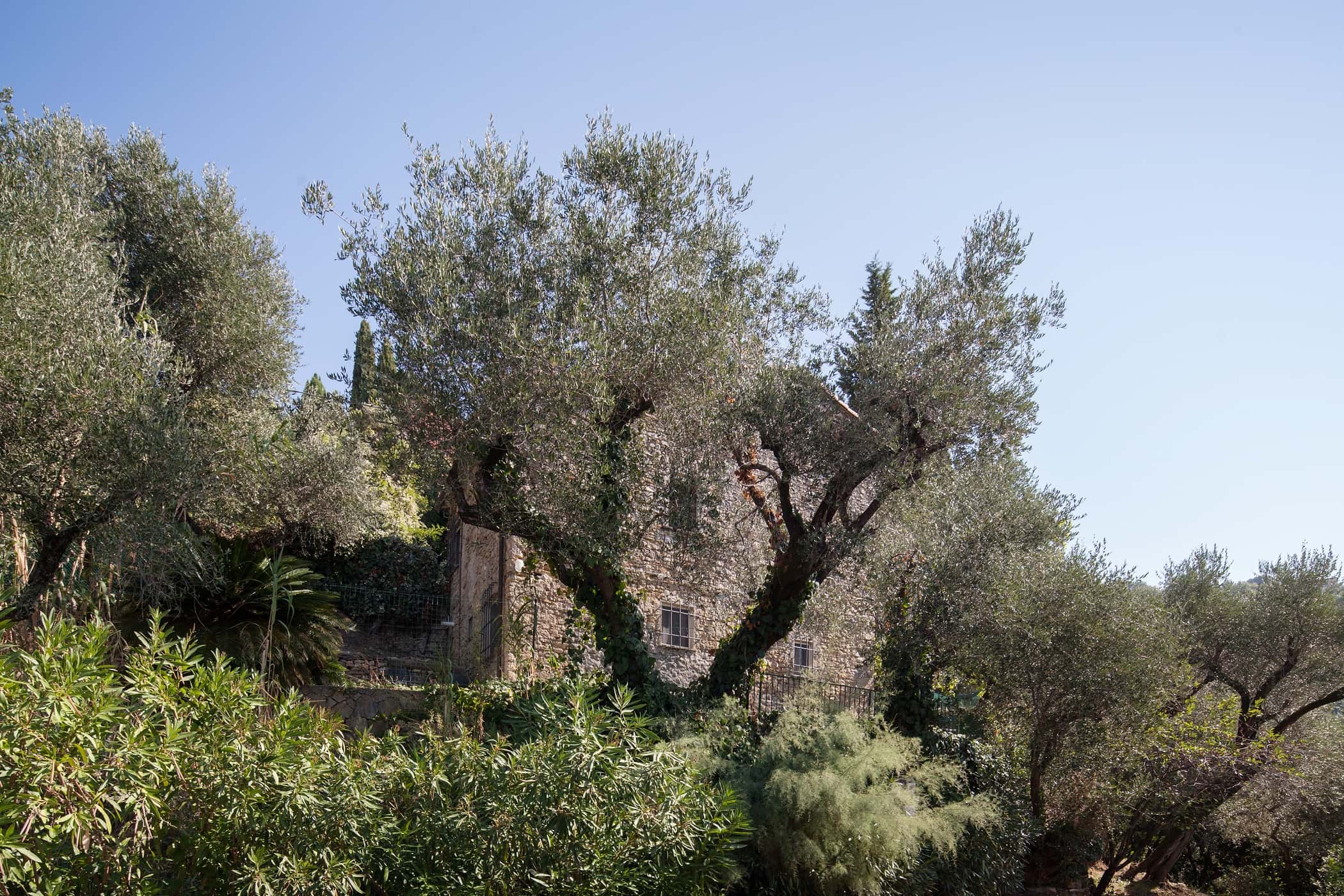 Appartamento in Località Catene, Lerici di 38 m² con 2 camere