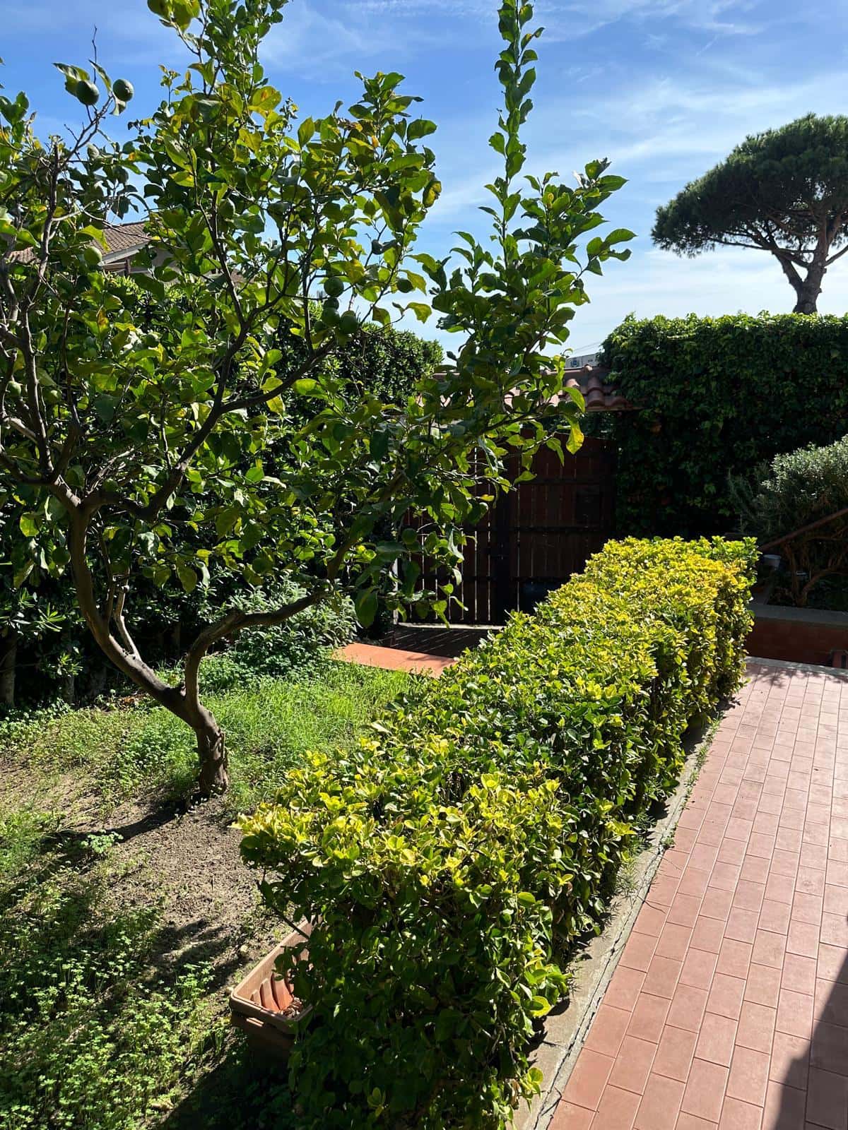 Apartment Cerveteri, 3 beds — photo 28