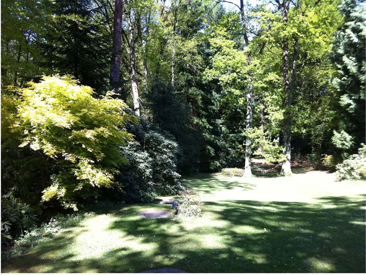 Villa oasis in the countryside at the gates of Hamburg - Photo 4