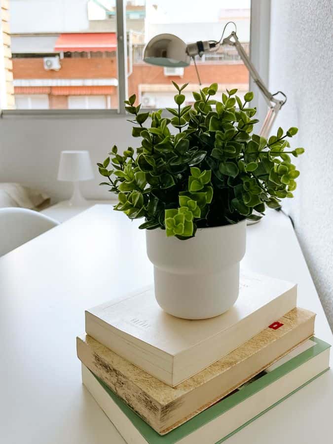 Habitación en piso de 4 habitaciones en Quatre Carreres