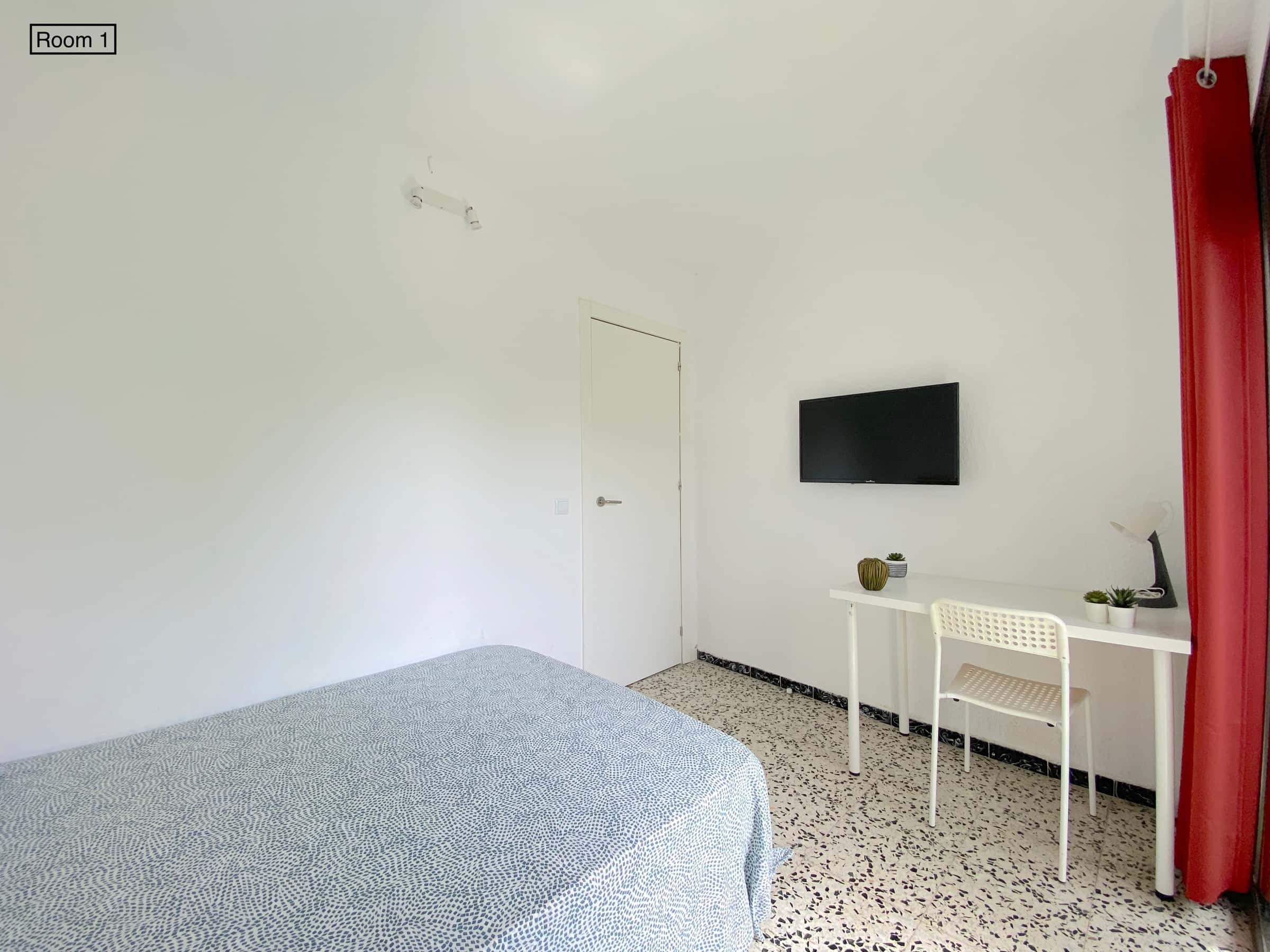 Premium sunny room near center with private terrace, AC, double bed, WIFI and TV for students