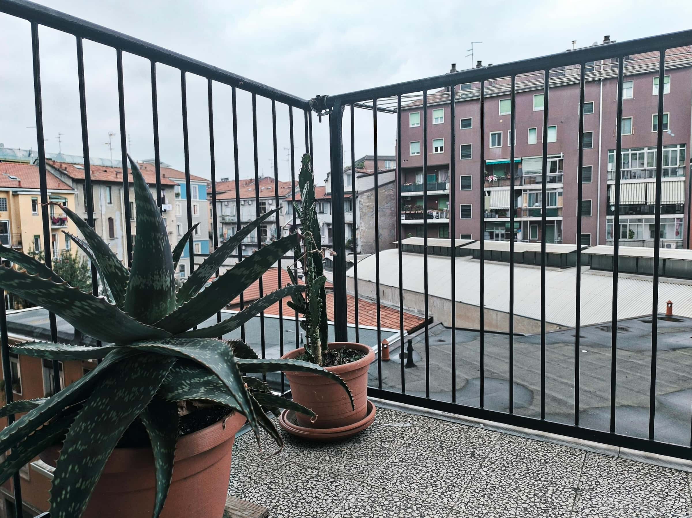 Single room Milan, 2 beds — photo 9