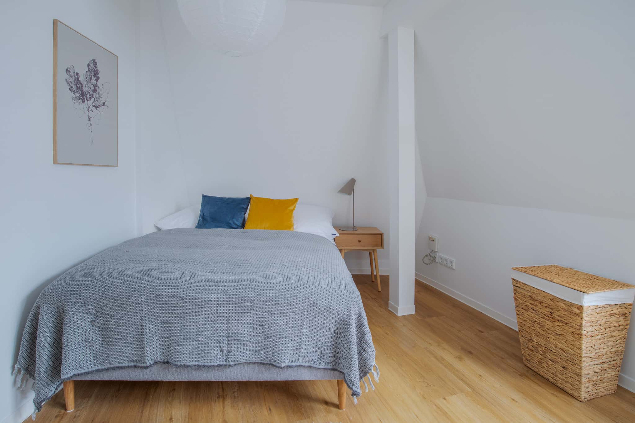 Alfred 12 Room 2 Standard+