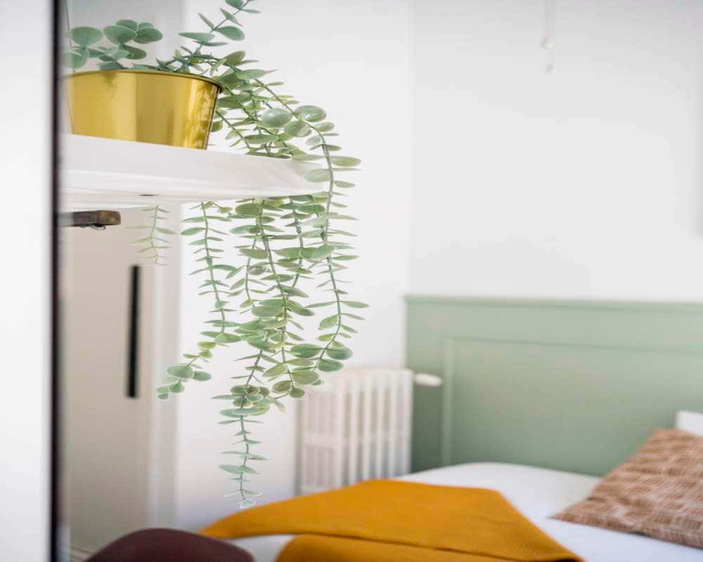 Habitación individual en la San Lorenzo