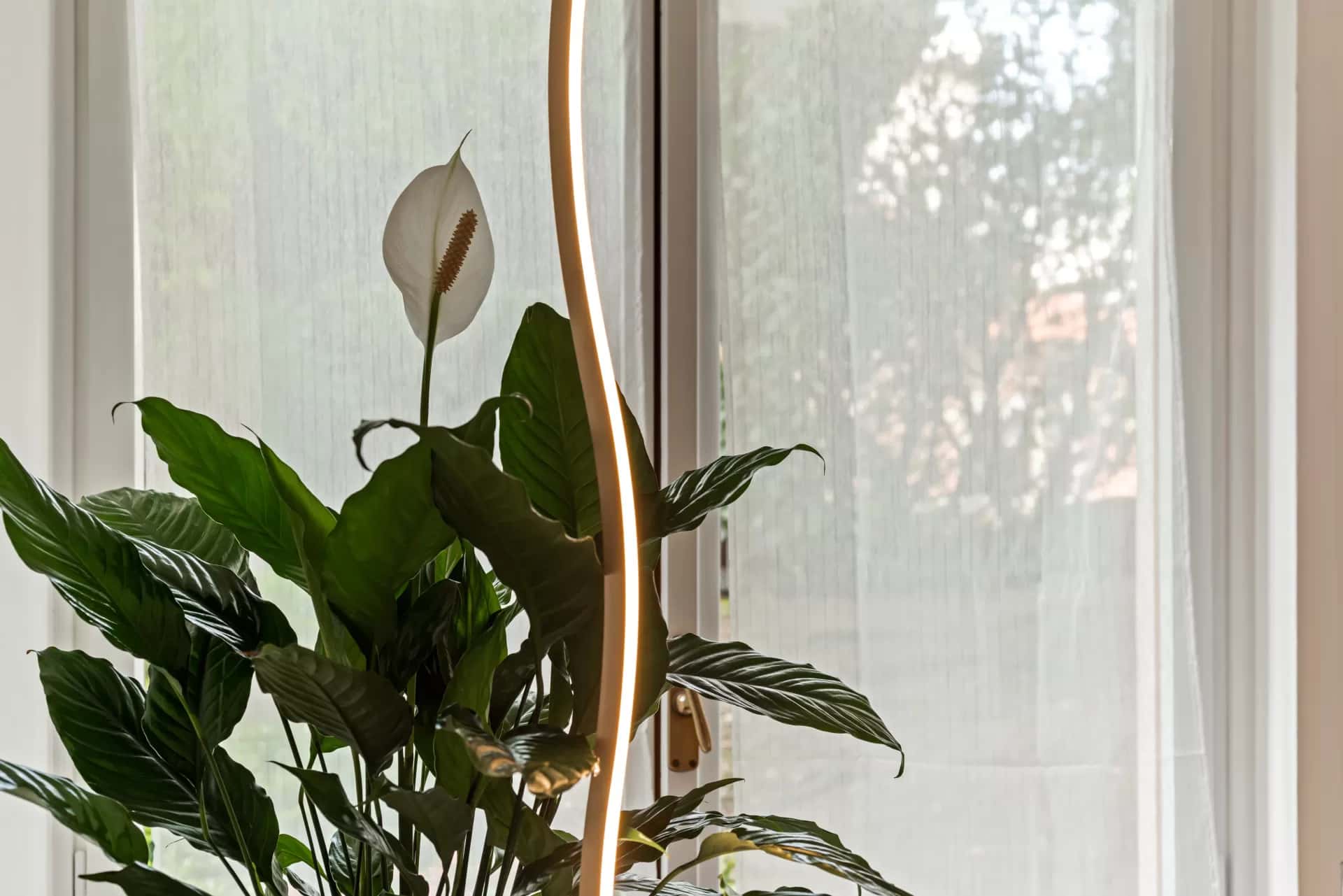 Appartement Milan, 1 chambre — photo 17