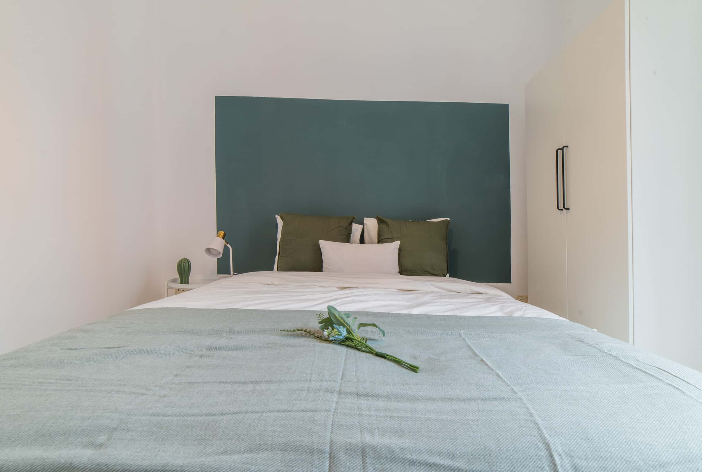 Habitacion privada en calle Santa Teresa, Madrid