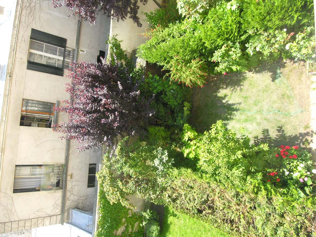 Apartment 1 bedroom 55m²